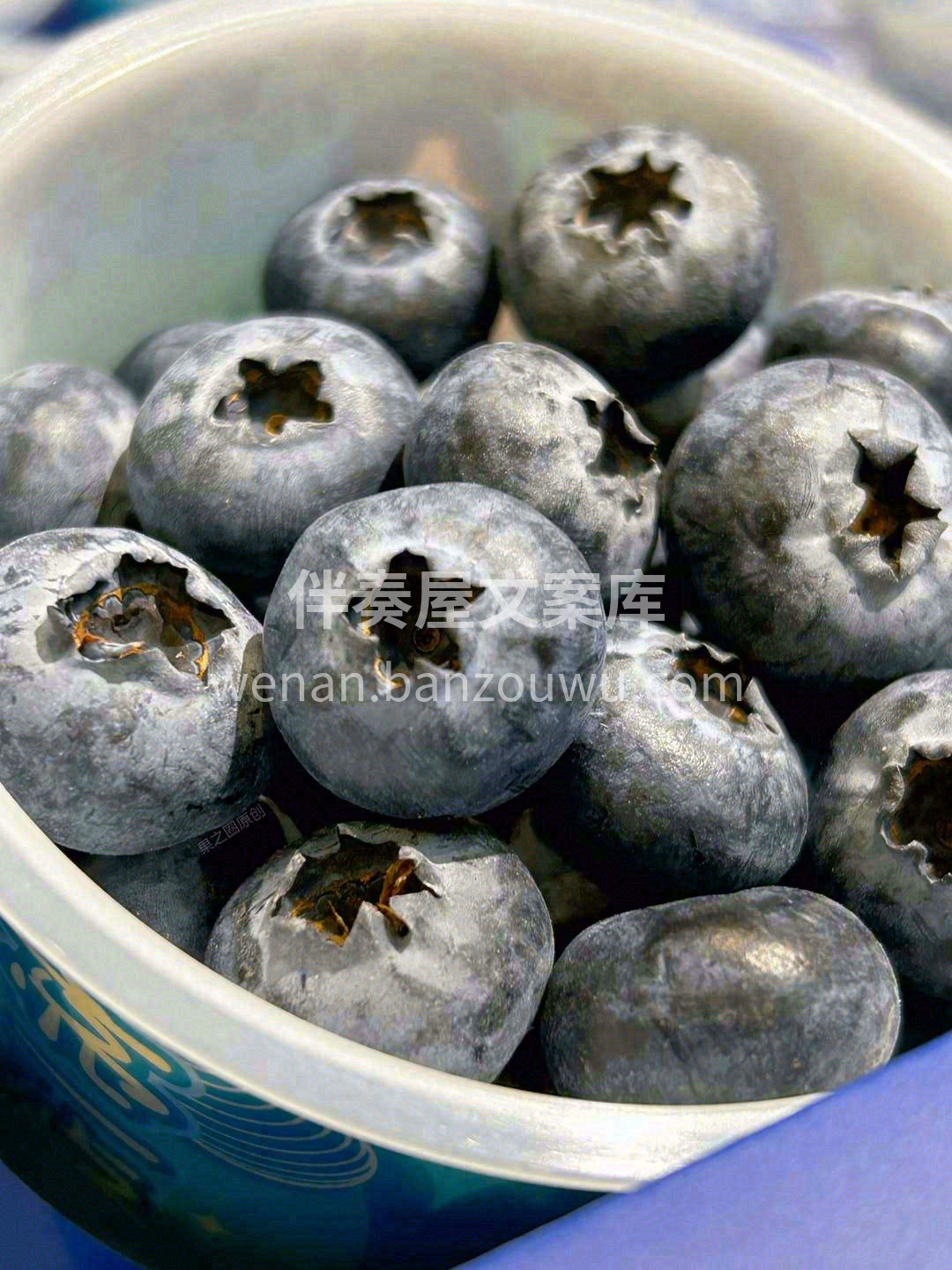 眼睛不是第一，而是唯一🙈！ 在孩子没近视 配图2