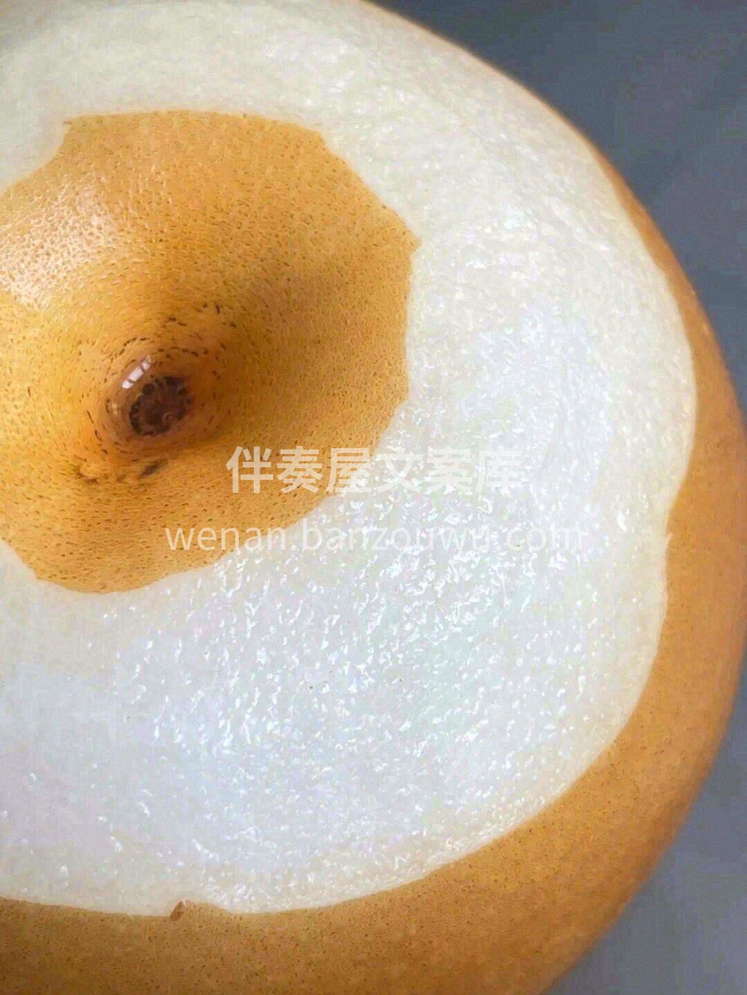 🌈人生的快乐，一半都藏在食物里 秋天的快 配图1
