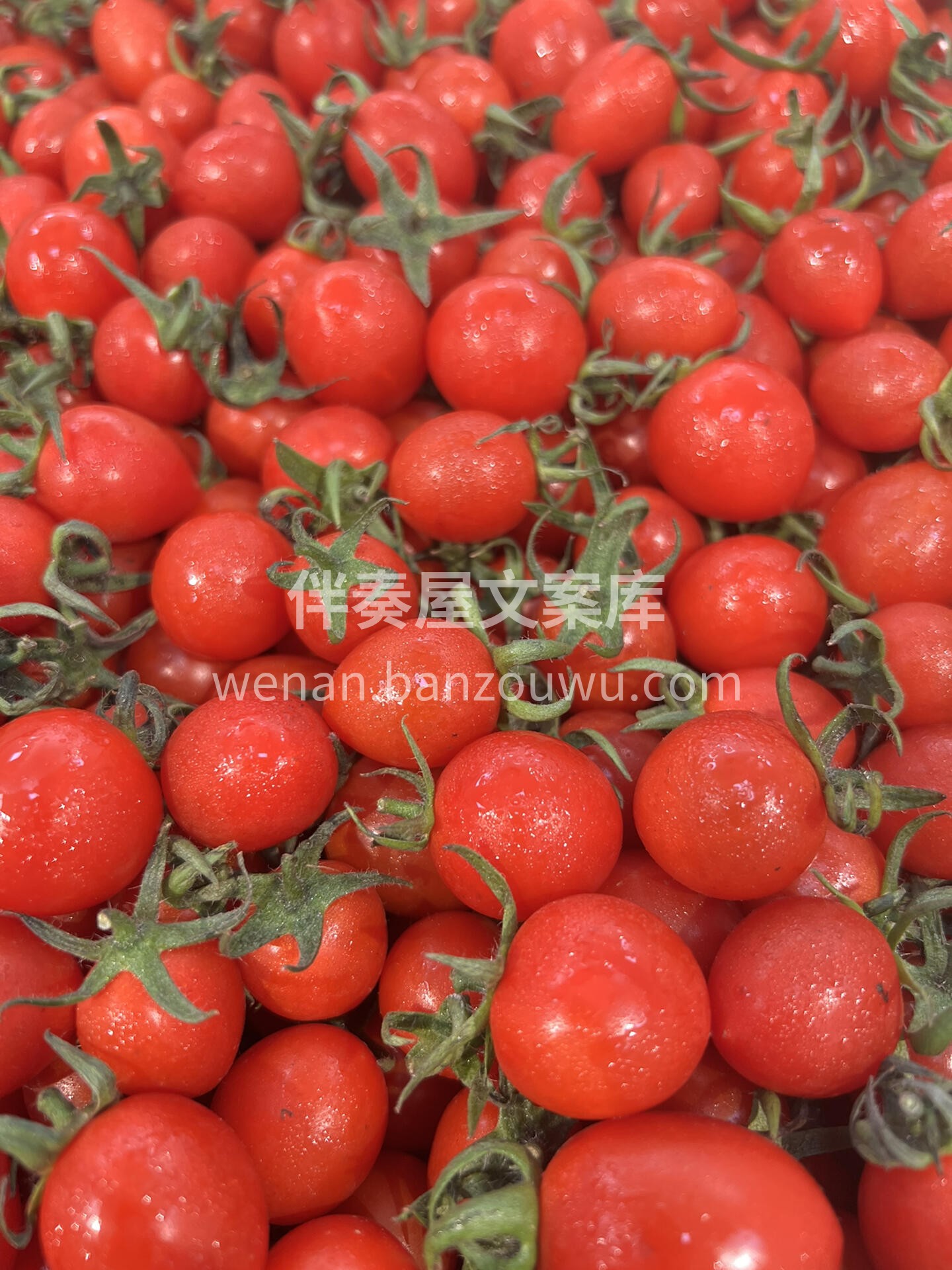 🍅又甜又低卡 瘦身必备💥超精致爆汁清甜  配图2