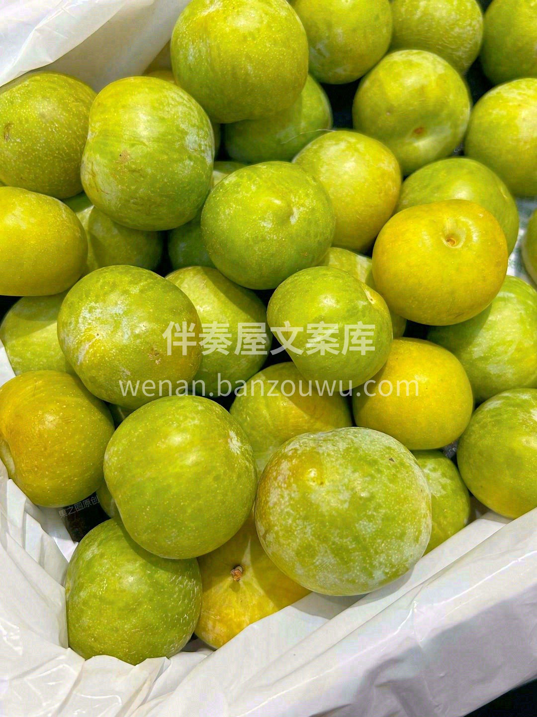 👉这颗李子，简直惊为天人！ 它的果肉脆💥 配图2