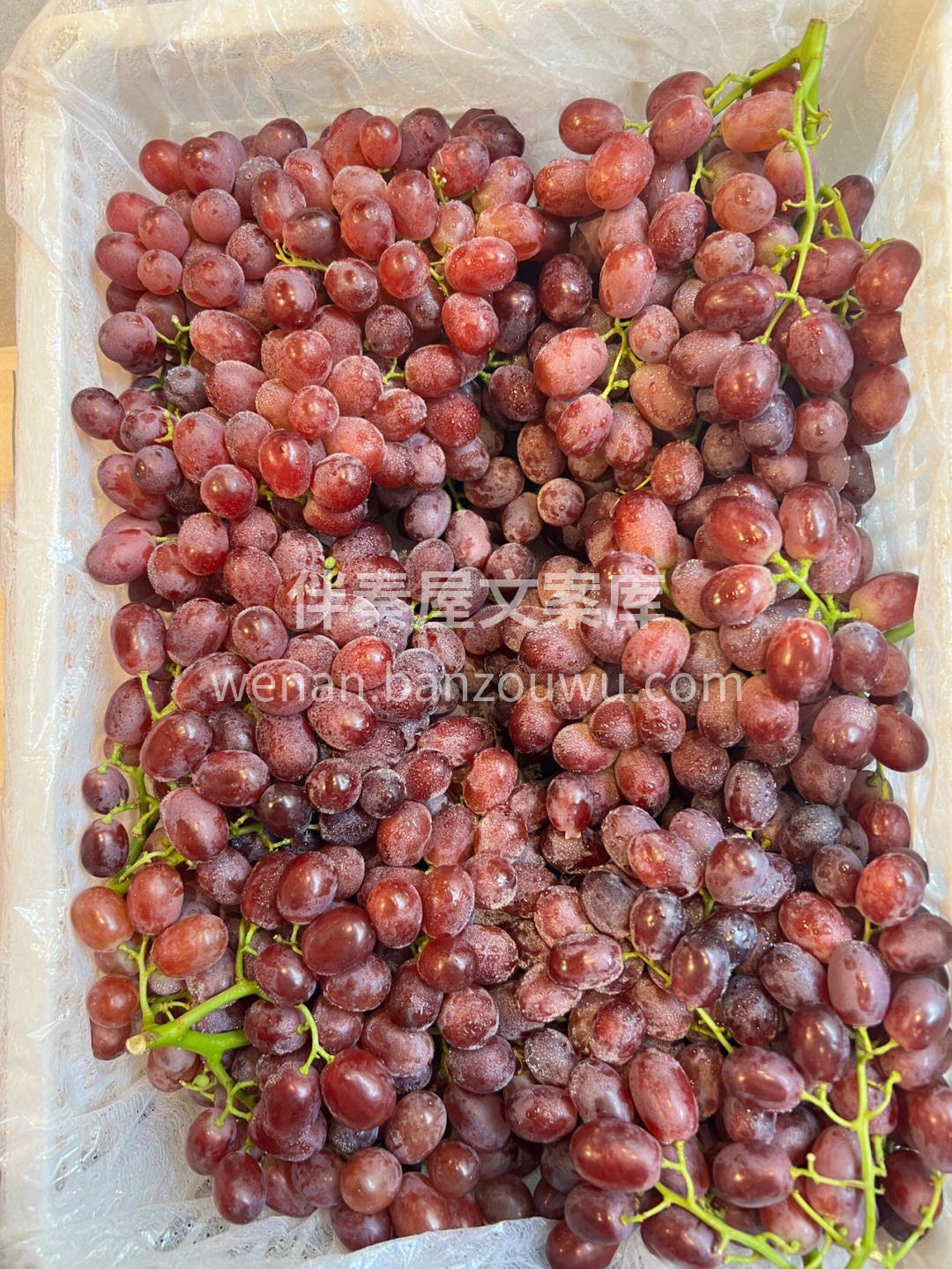 🍇颗颗晶莹饱满，犹如一颗颗红玛瑙💖 新鲜 配图1