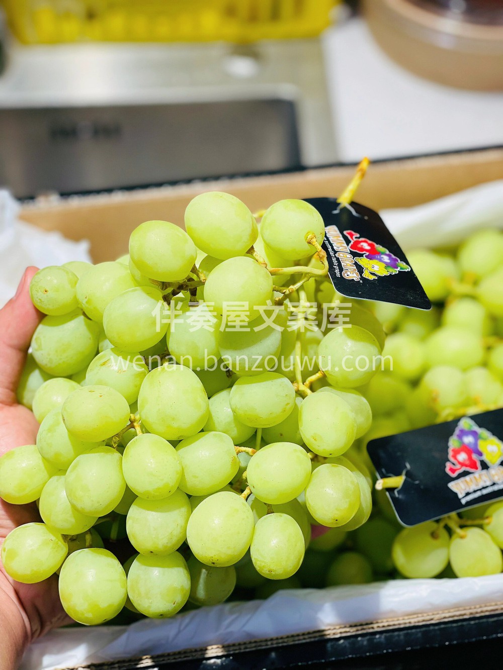 🍇一款贷款都要买的爆炸青提💚每一颗果子入 配图1