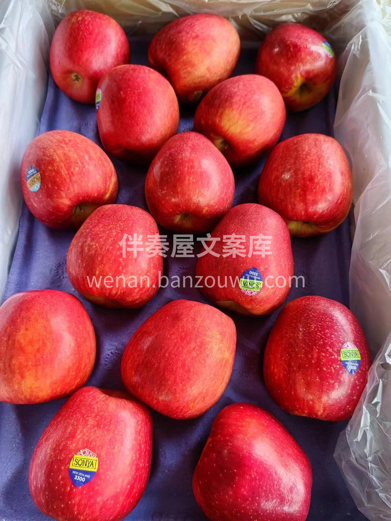 ✈来自新西兰的索尼娅苹果🍎🍎 青春女神的 配图3