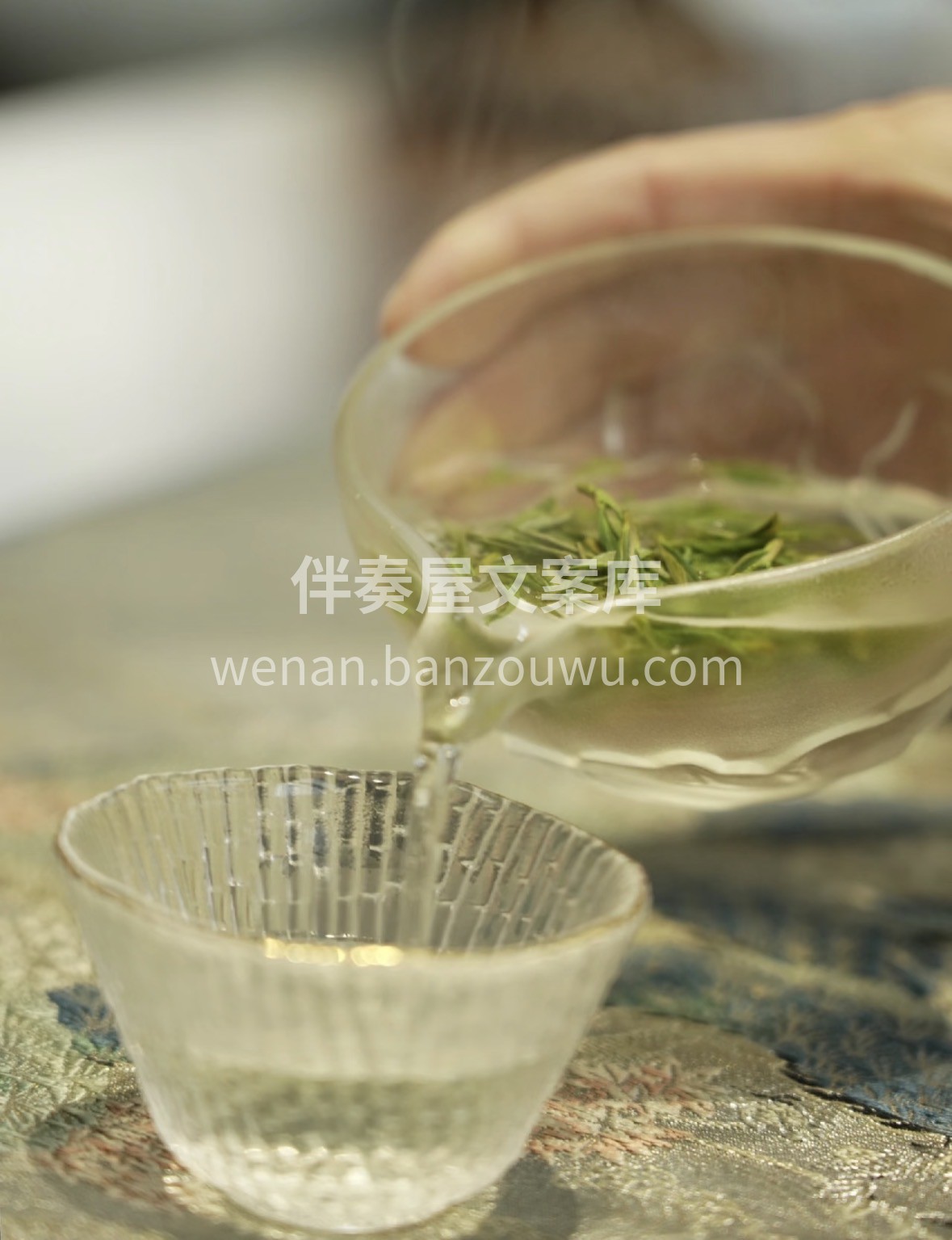 新年送礼不踩雷，信阳毛尖安排上！🍵鲜爽回 配图1