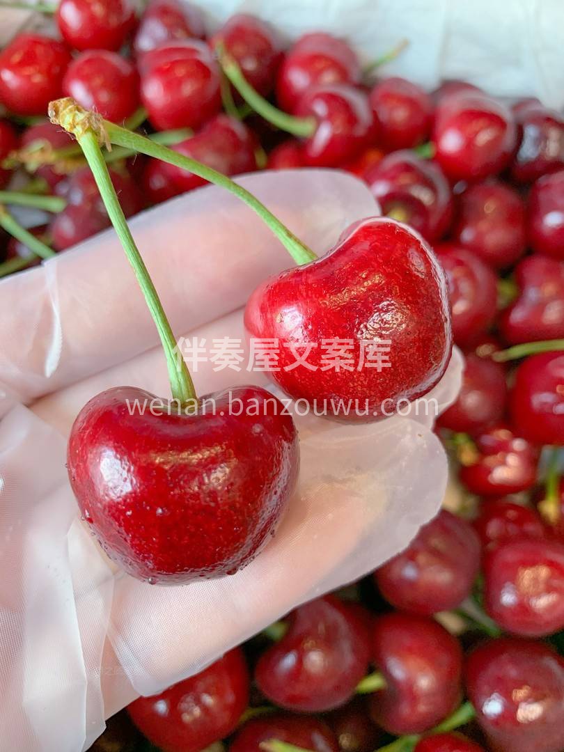 🍒美早樱桃富含丰富的维生素C，它的铁元素 配图2