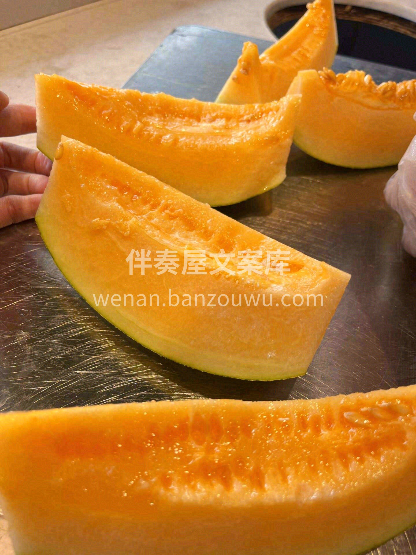 太阳无声🌞，却让全世界光明🌻； 花开无声 配图1