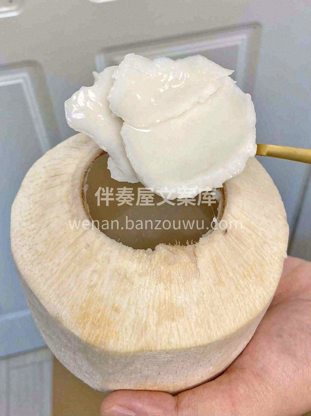 强烈推荐🎉🎉在这个季节最安全的饮料💗 「 配图1