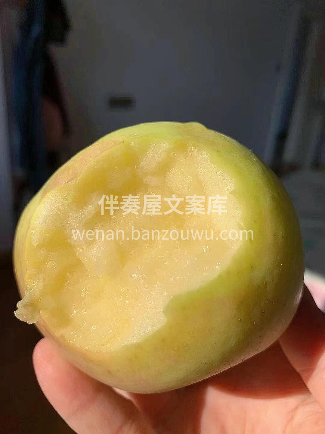 一款能改变你"苹果观"的青苹果🍏——青森 配图3