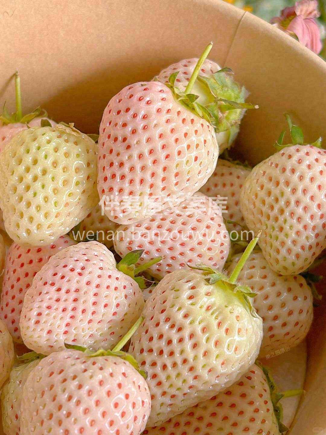 🍓白雪公主草莓软糯梦幻 果皮微透粉红，香 配图2