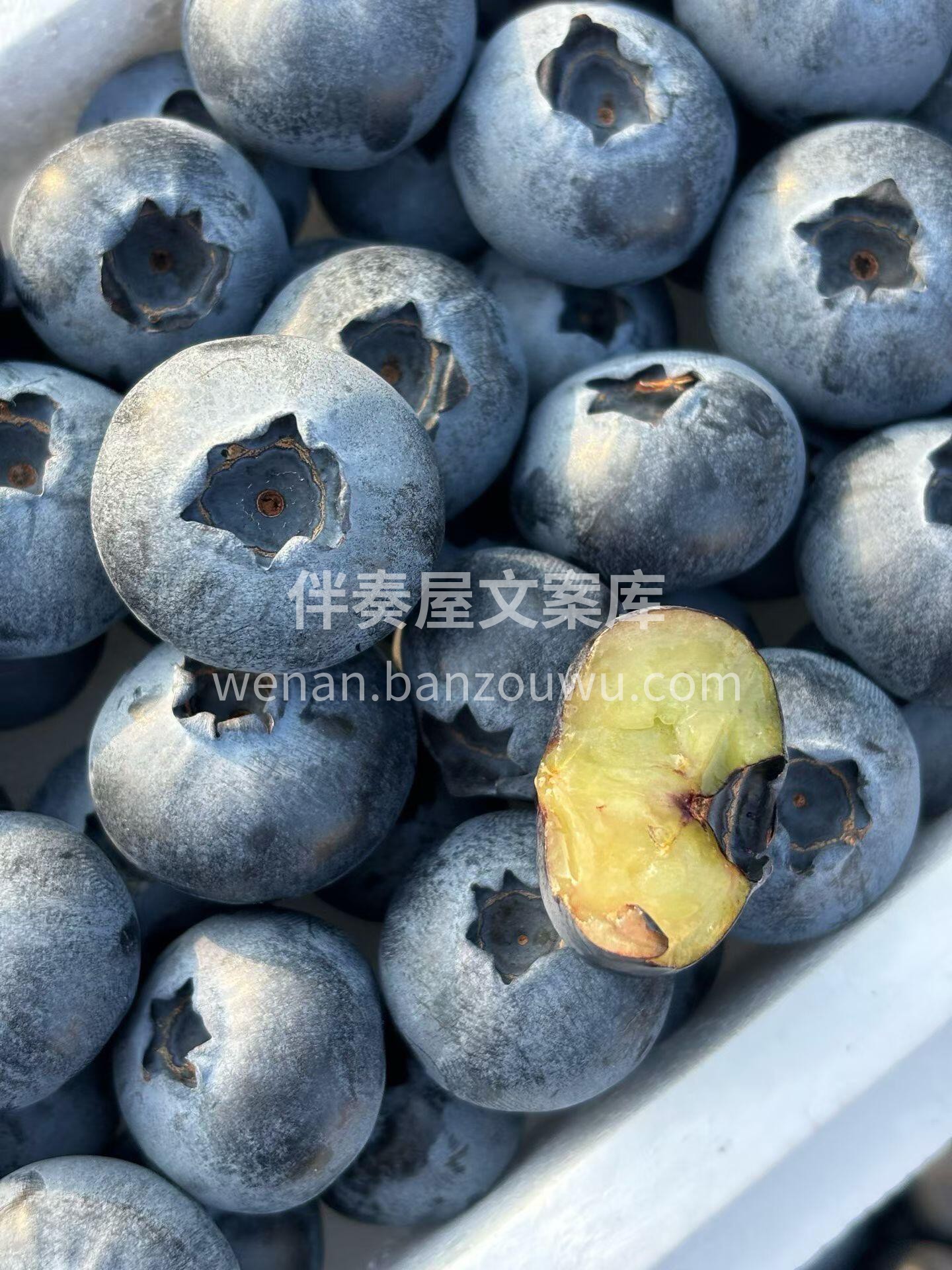 眼睛不是第一，而是唯一🙈！ 在孩子没近视 配图3