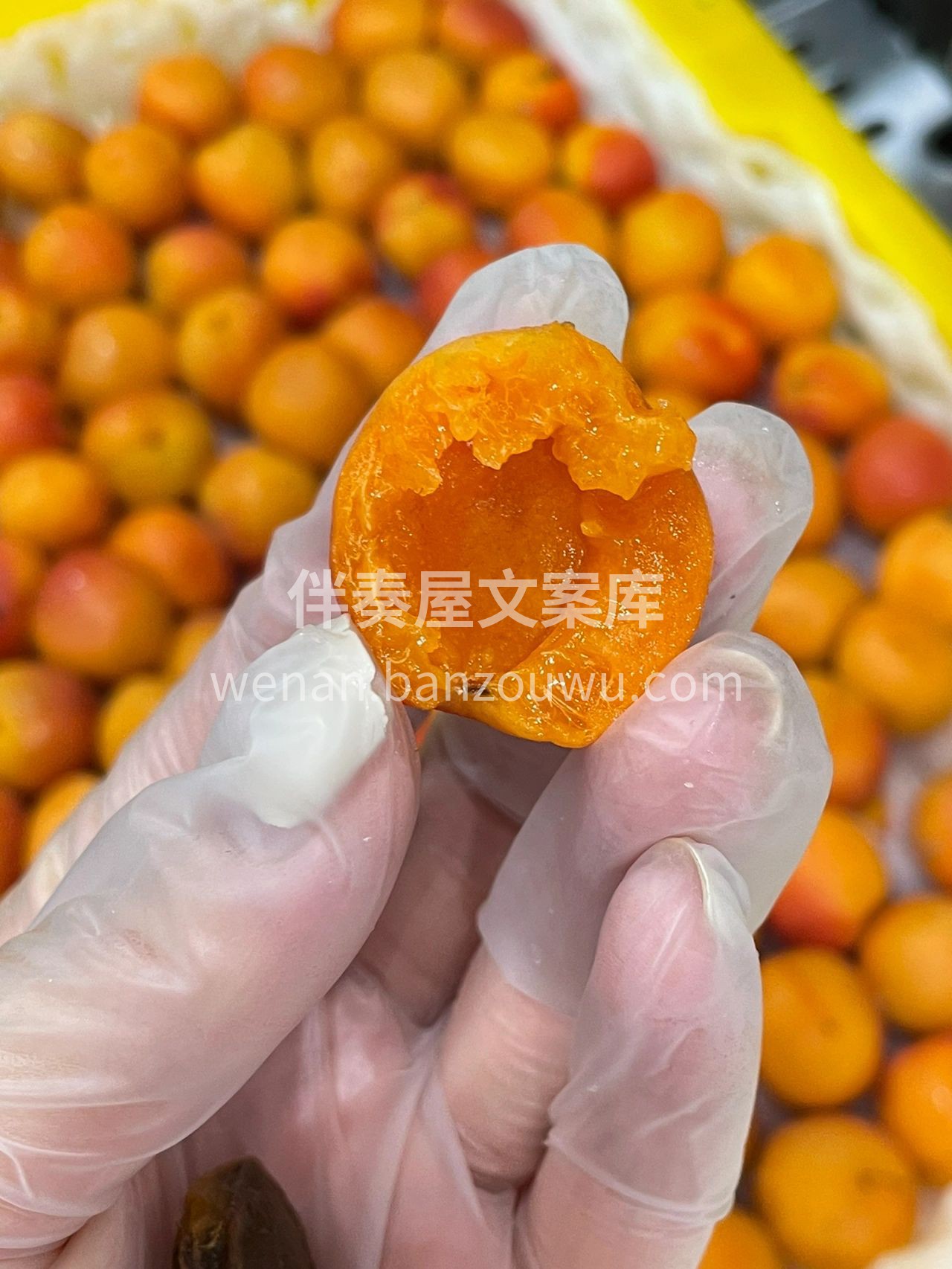 🍉水果摊主的日常：被顾客催更！ 👩🍳顾客：老板，今天有什么好 配图4
