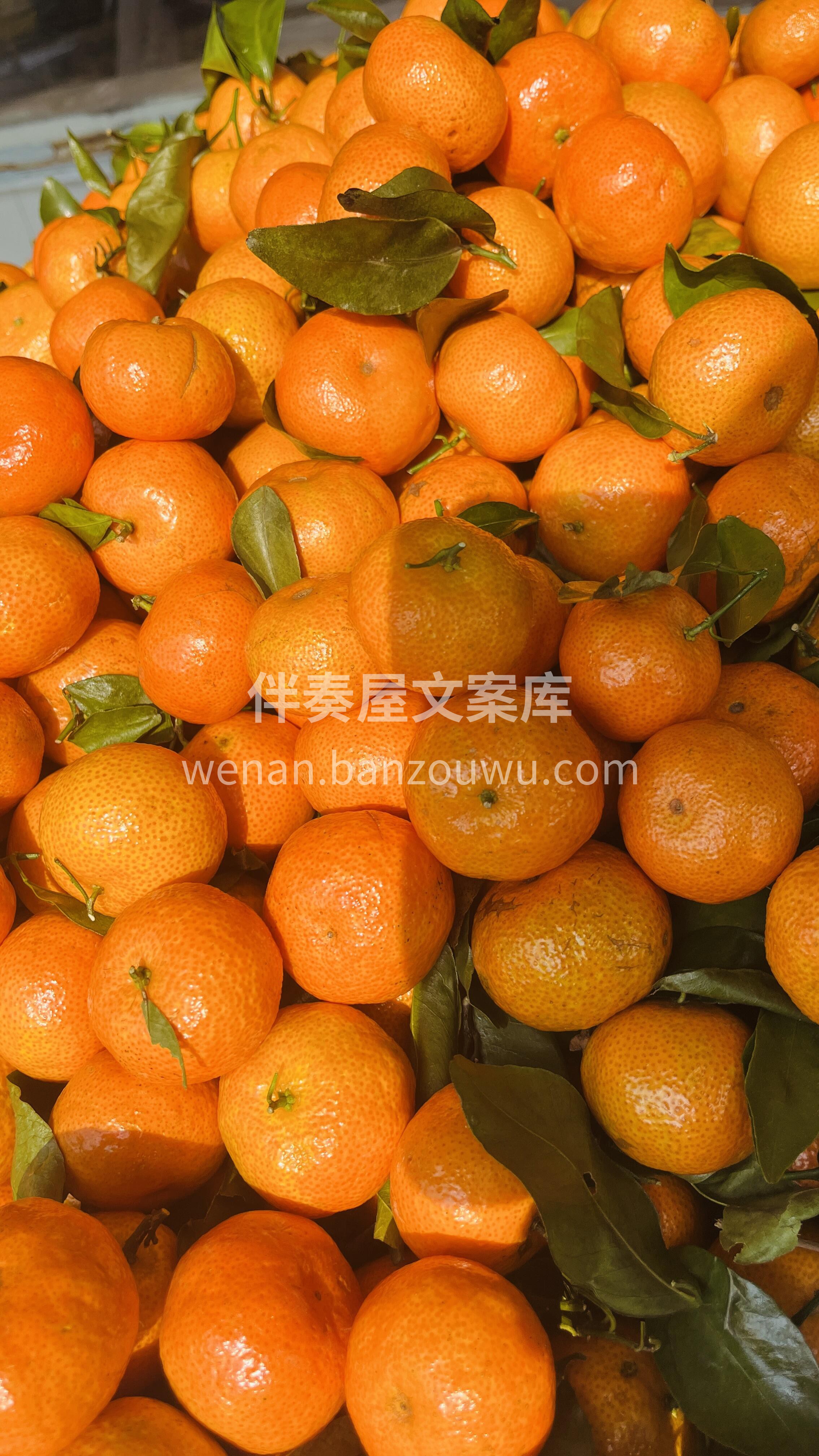 好吃的砂糖橘🍊来啦‼️‼️ 个个光滑饱满 配图3
