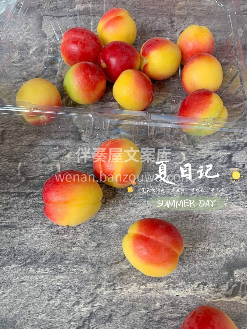 🎀 熟透的胭脂杏，其色半红半黄，果实晶莹 配图1