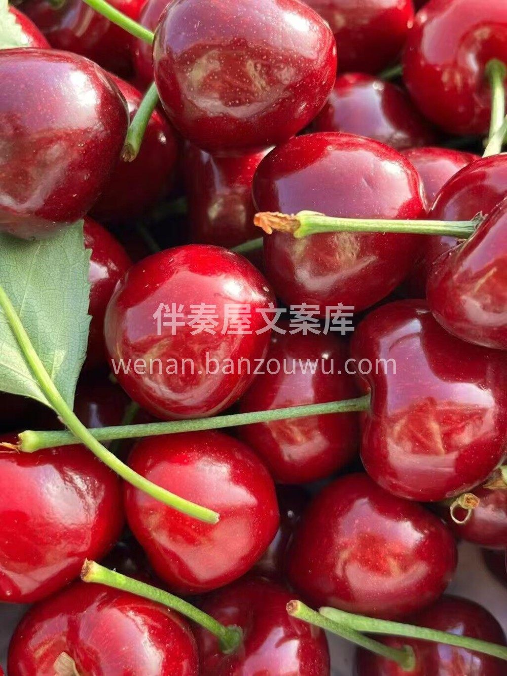 🍒 美早樱桃甜蜜上线！ 果粒硕大，汁水充 配图1