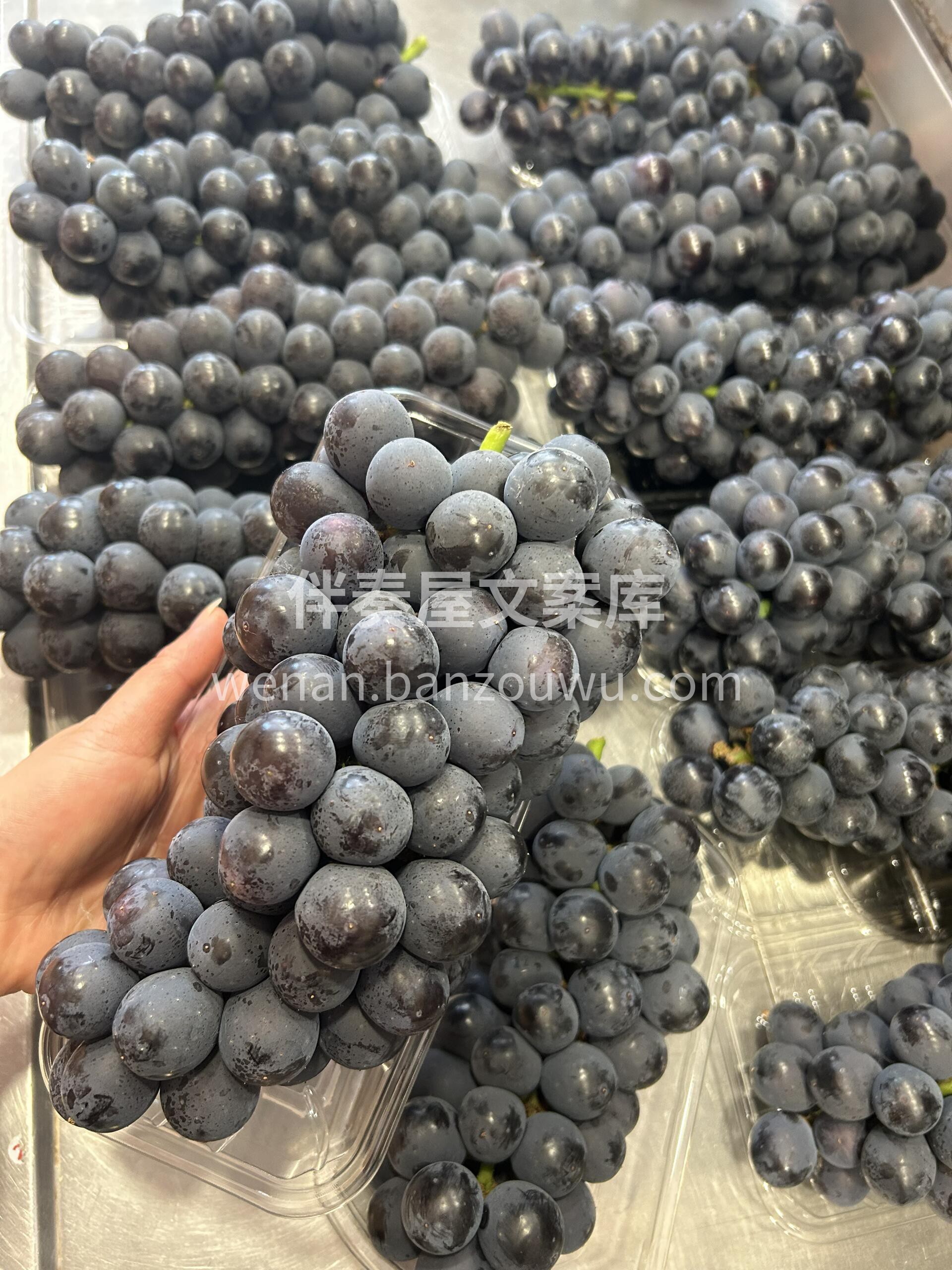 🍇 夏黑葡萄抢鲜上市！ 紫黑发亮像玛瑙🖤 配图2