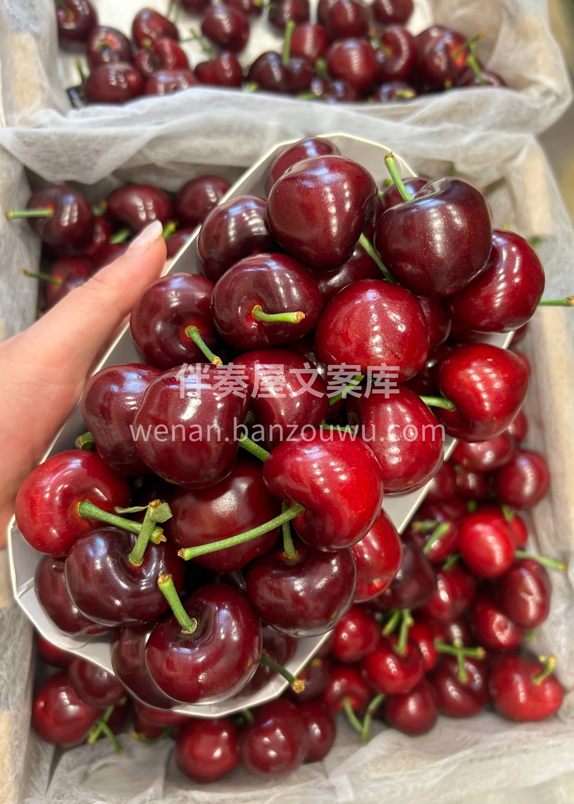 应季爆款🔥 🔥 饱满爆汁的车厘子🍒 ，水 配图1
