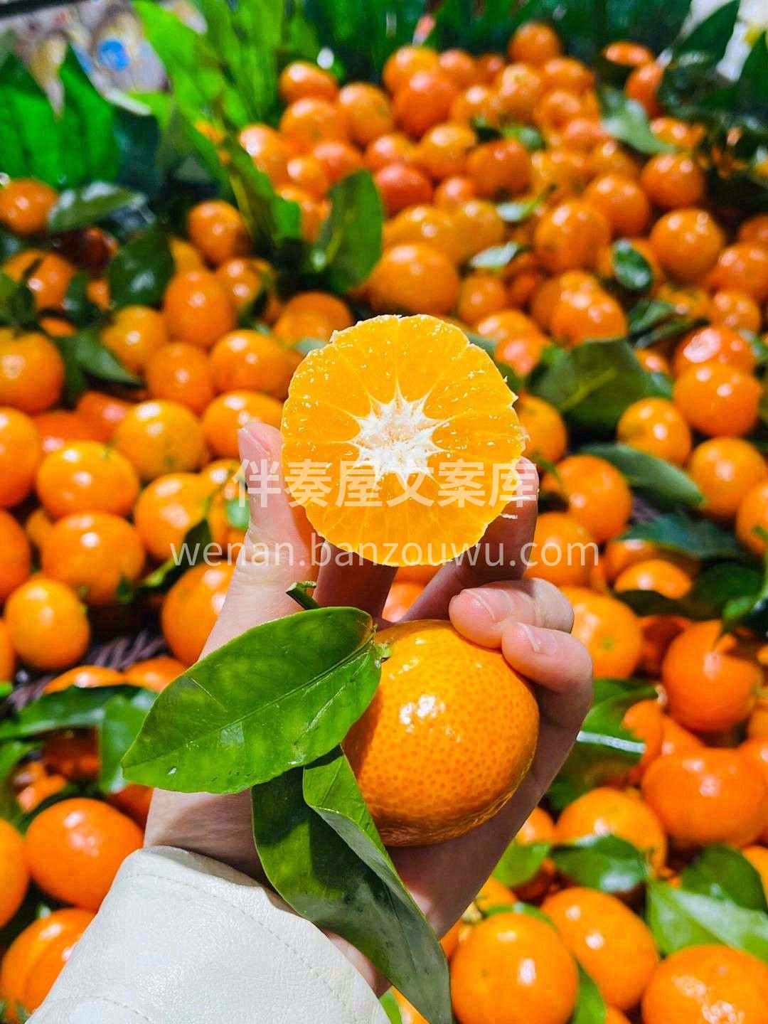 砂糖橘🌻🌻 🍊桔香浓郁、爽甜可口🍊 💎每 配图2