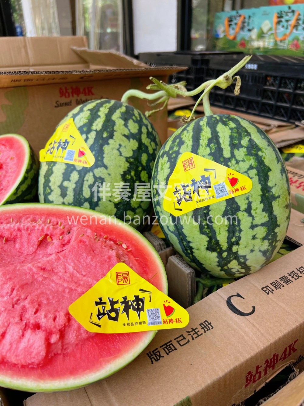 ?甘美西瓜申请出战?甜甜的西瓜我来啦～天 配图1
