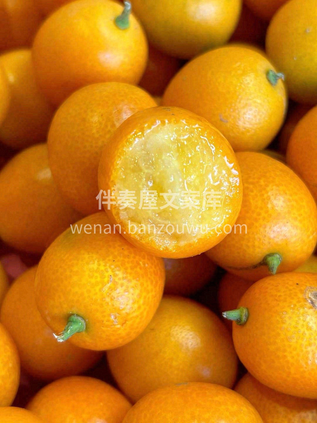 世间万物，唯美味与爱不可辜负🌸。 遇上金 配图1