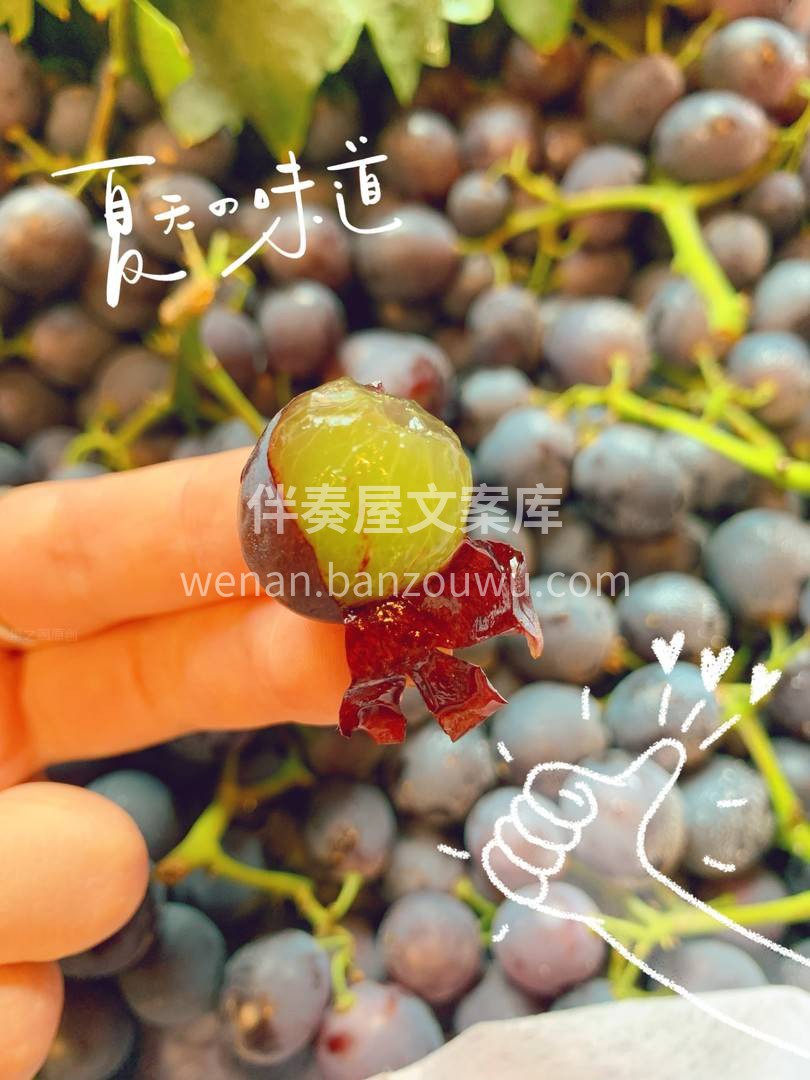 🍀闷热的天气 你是否觉得头晕脑胀？四肢无 配图1