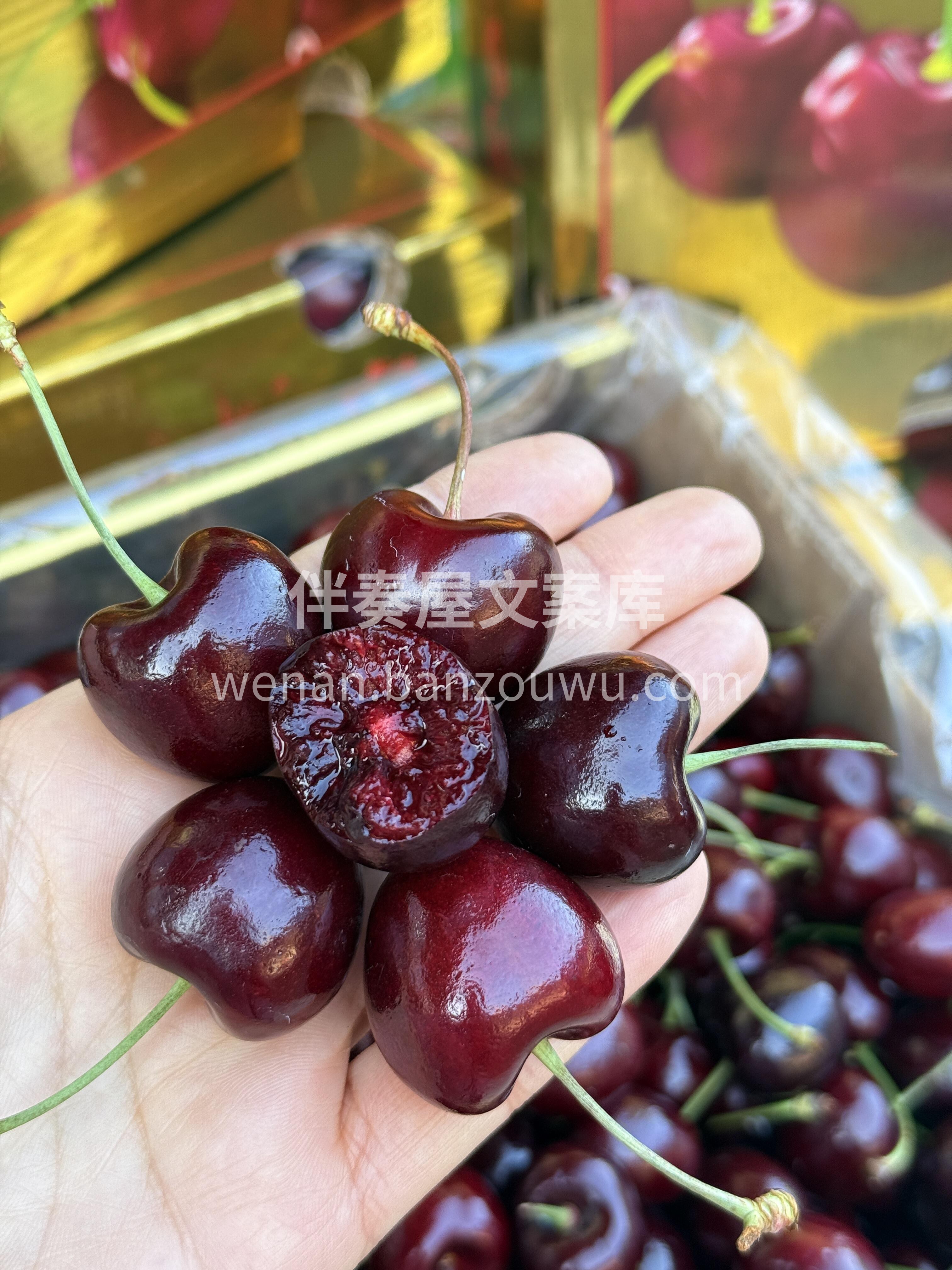 🙆爱吃的小仙女们，一定要尝尝这颗大车车🍒 配图1