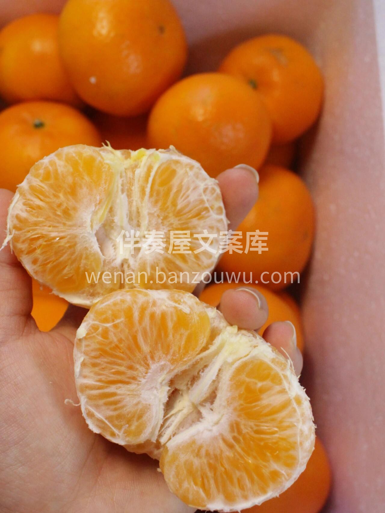🍊五月沃柑，香甜一整个爆开！ 果皮薄好剥 配图2