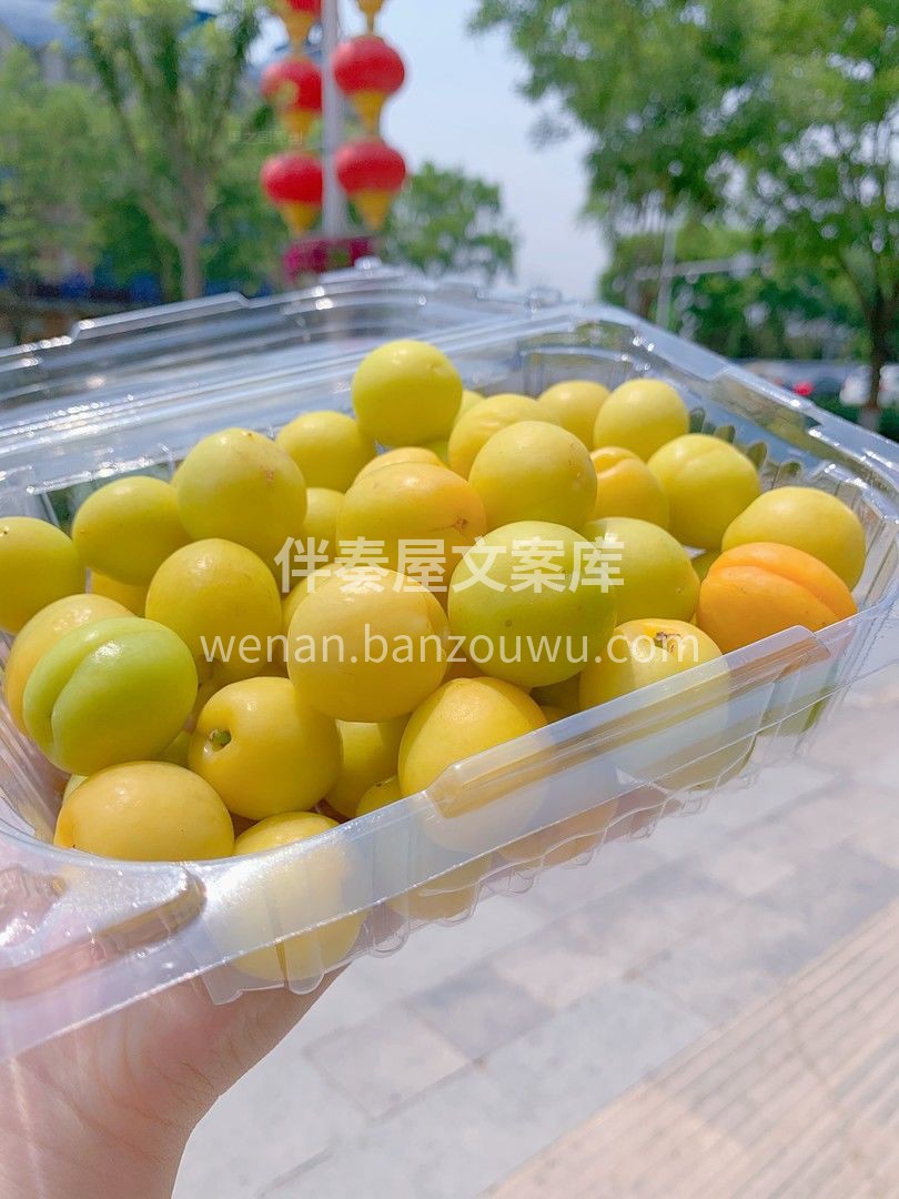 新疆小白杏在维语里意为“白色蜂蜜”🐝🐝  配图2