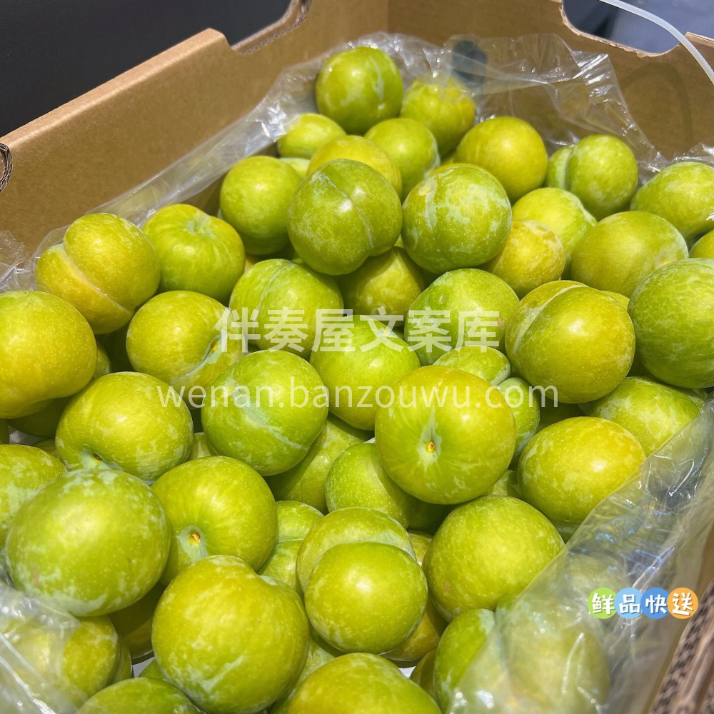 来，快来尝尝这个蜂糖李最近超爱的一款水果 配图3