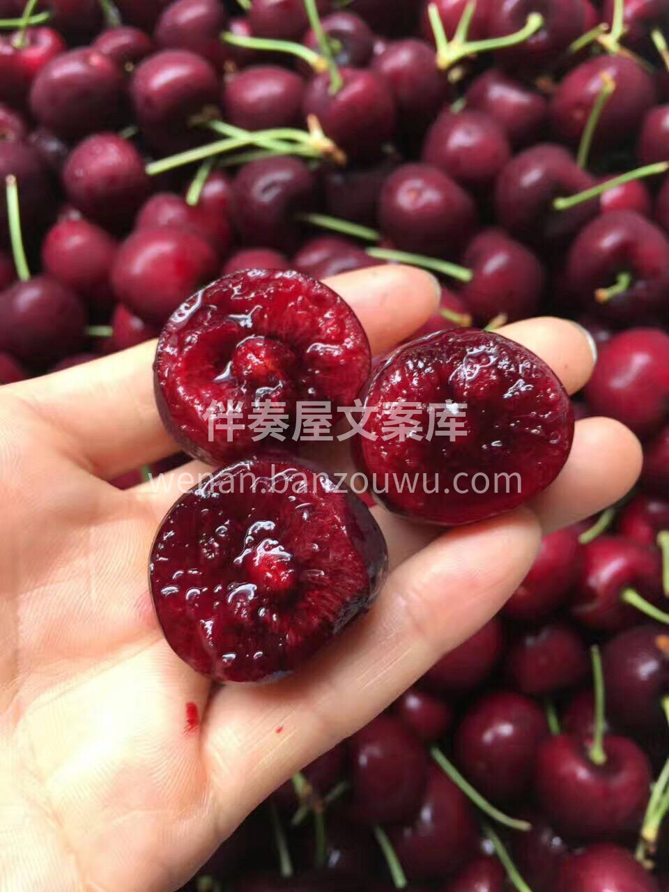 尝尝老美的车厘子，咱也压榨他们一把！ 🍒 配图1