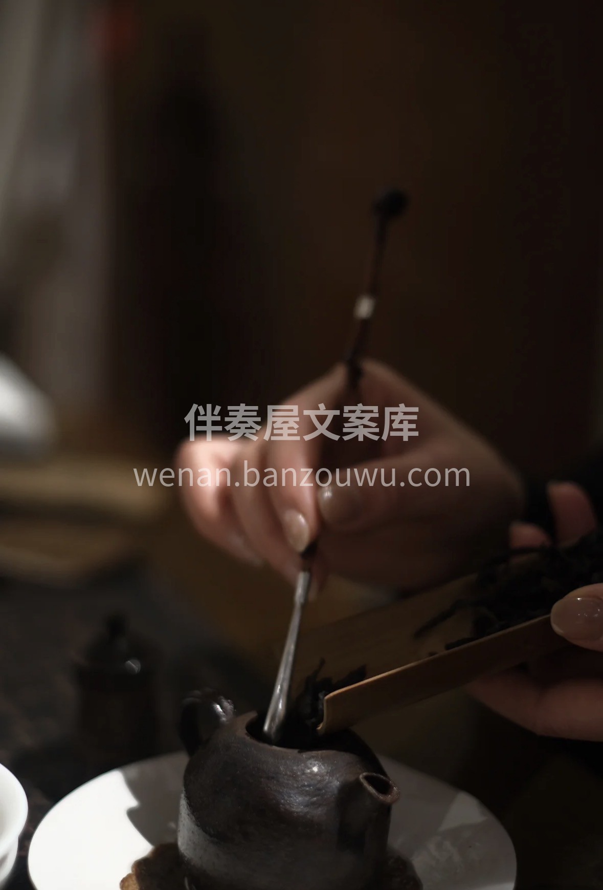春茶正当季，清香最动人。文山包种轻发酵工 配图2