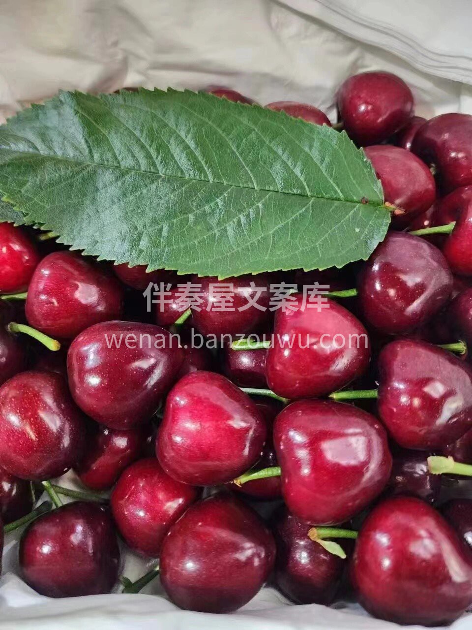 🍒美早大樱桃🍒好多宝宝问的水果💯含有丰富 配图2