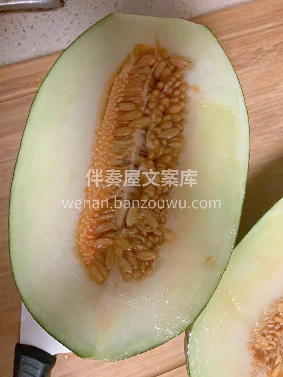 🌿在沙漠中摇曳生长，这么顽强的生命力 那 配图2