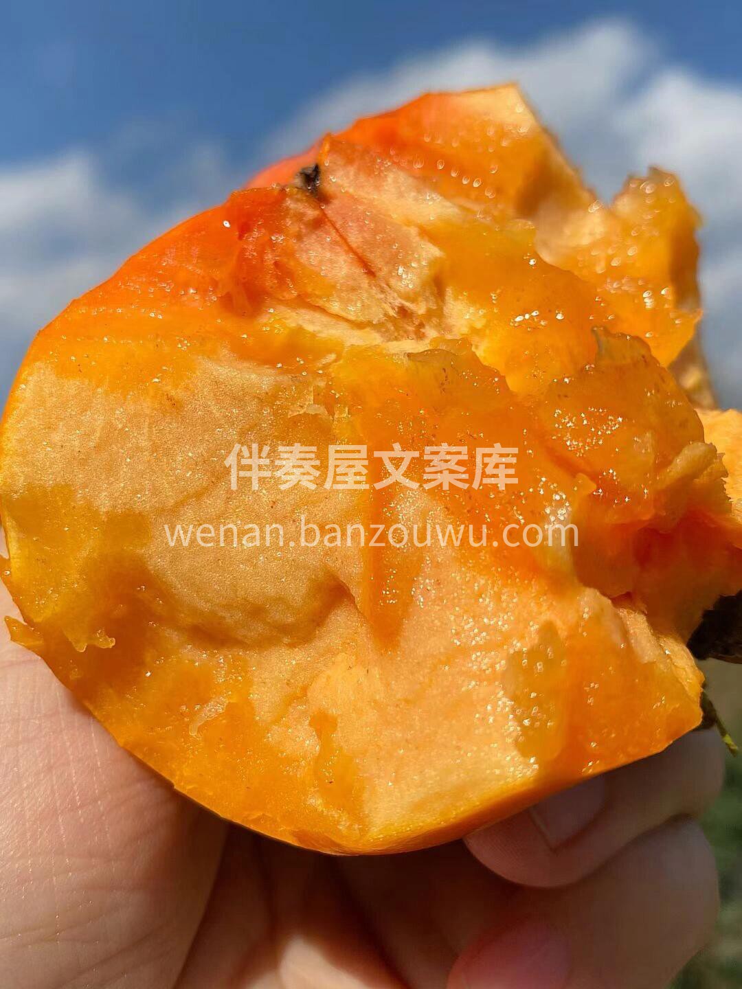 🍃 美好的一天从清晨开始 🌞 让新鲜水果为你开启一天的能量✨ 配图5