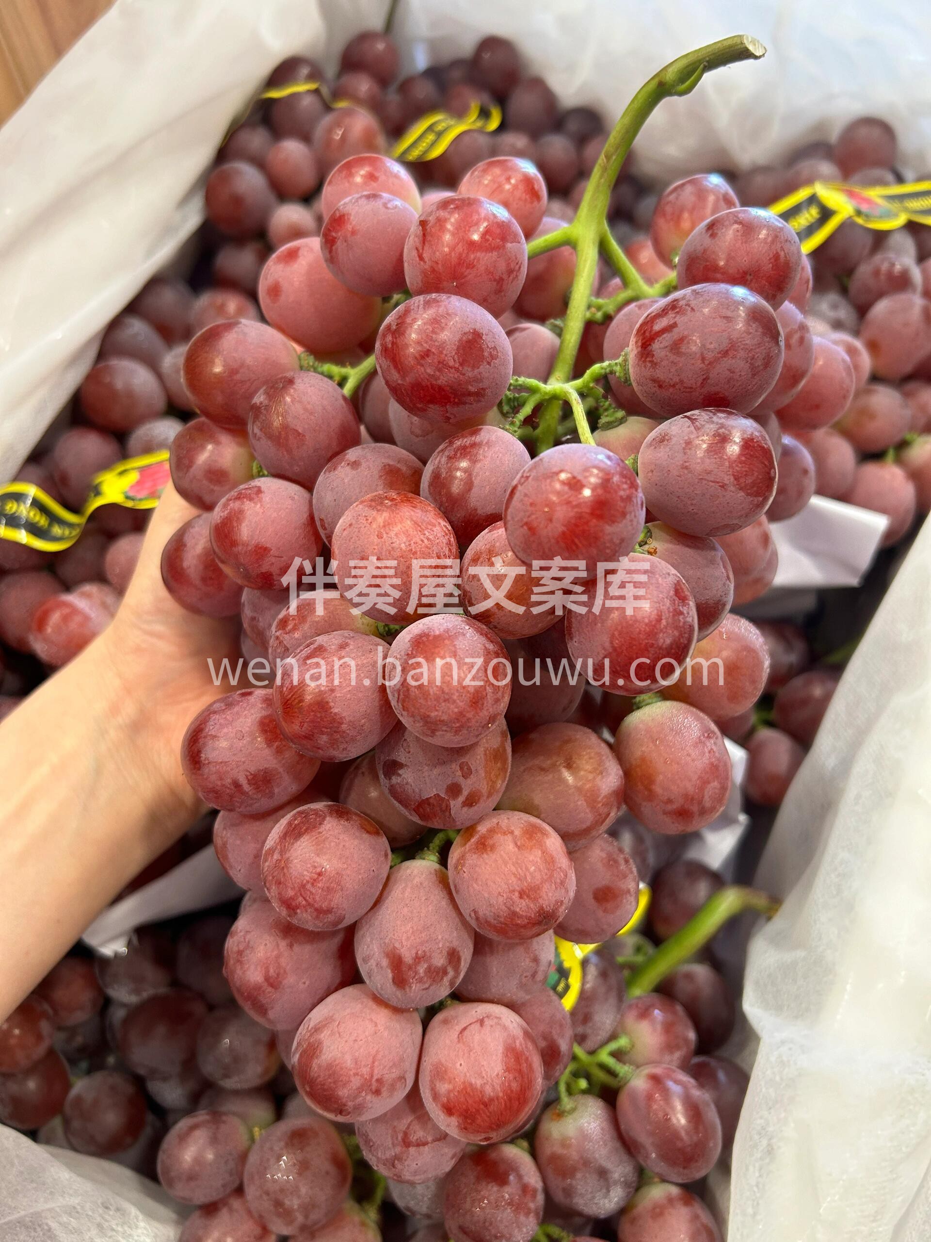 🌴云南玫瑰红提🍇果肉饱满紧实，所见即所得 配图3