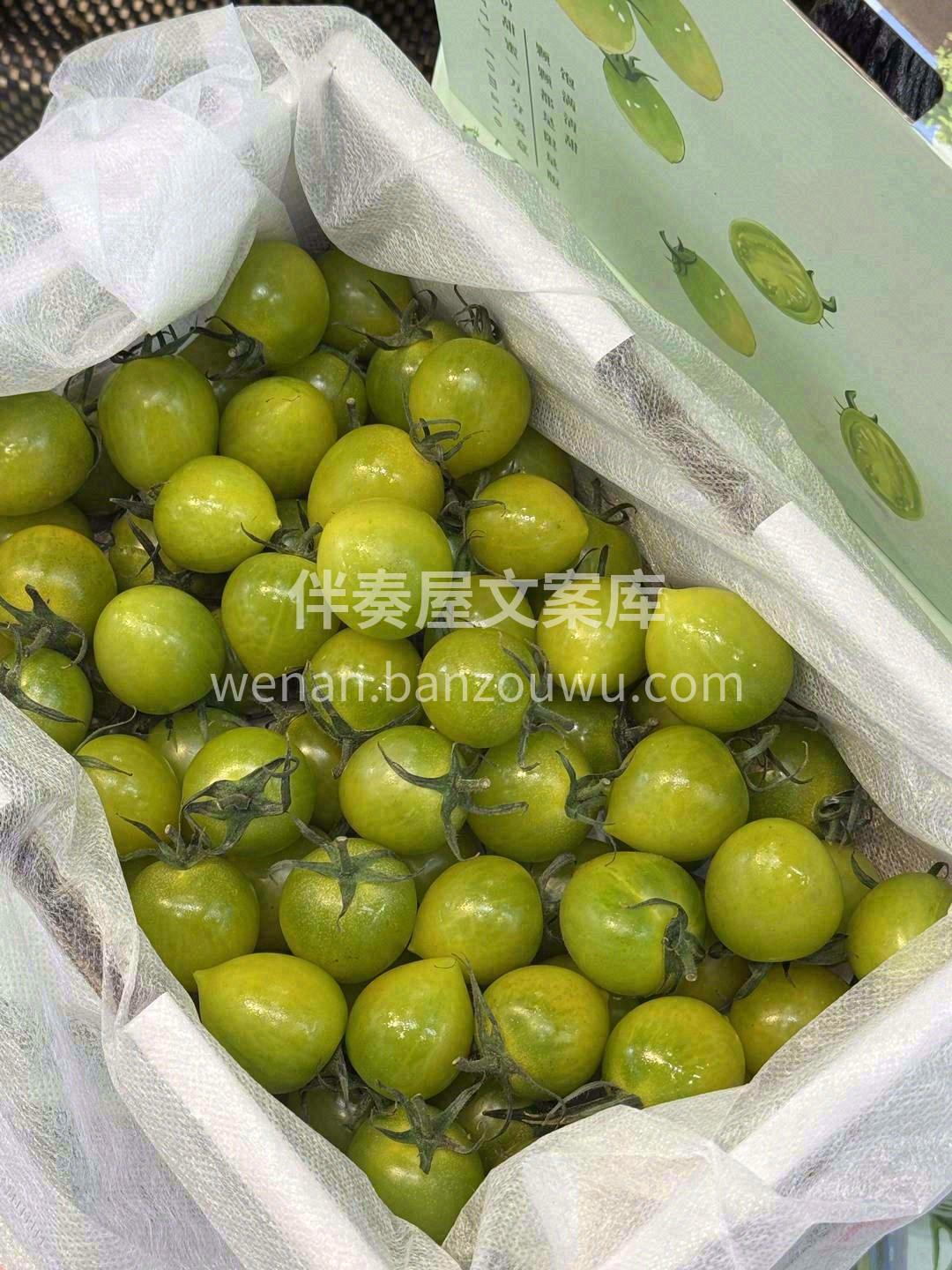 💚因为皮薄，所以小小一颗番茄，基本都是满 配图2