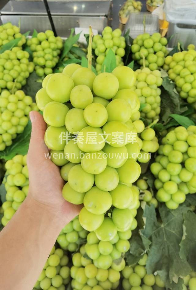 ✅阳光玫瑰到货☀️🌹 自带一股淡淡玫瑰清 配图1