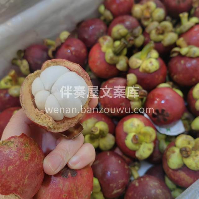 新鲜泰国🇹🇭山竹｜降火神器🔥🔥 🔥嗓子不 配图1
