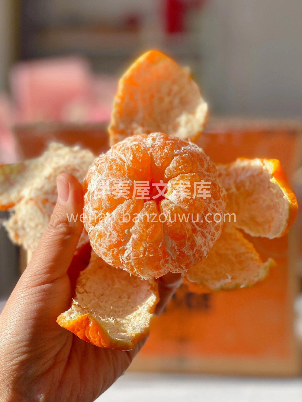 ?云南沃柑！ ?很新鲜，口感嫩，汁水足， 配图3