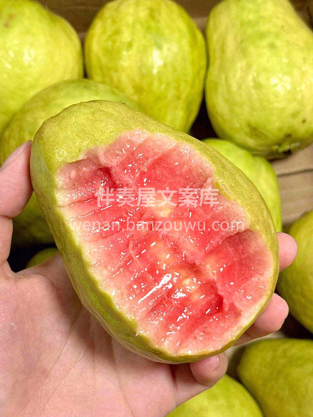 💙很爱它的香气馥郁，细品犹如雨后那兰花香 配图1