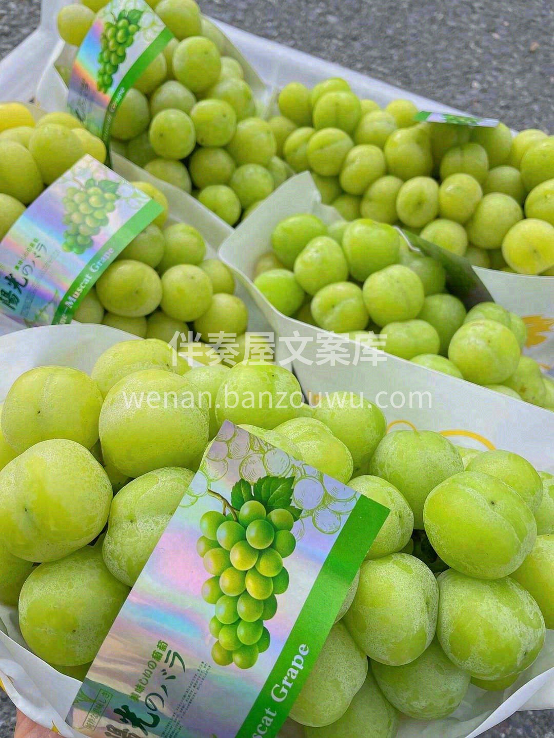 🍇所有写甜的文案～都不配不上它——特级阳 配图3