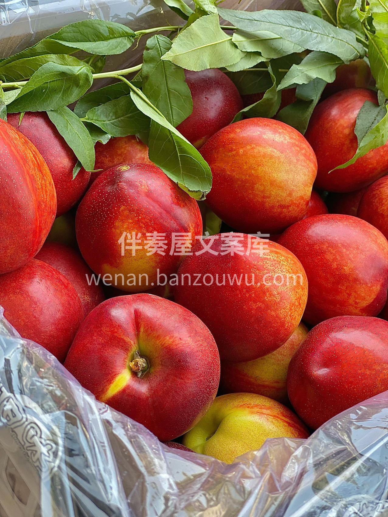 🍁秋天收获双倍快乐😊💃 喜欢吃的水果零食都在这个季节 🍊🍇🍎 配图5