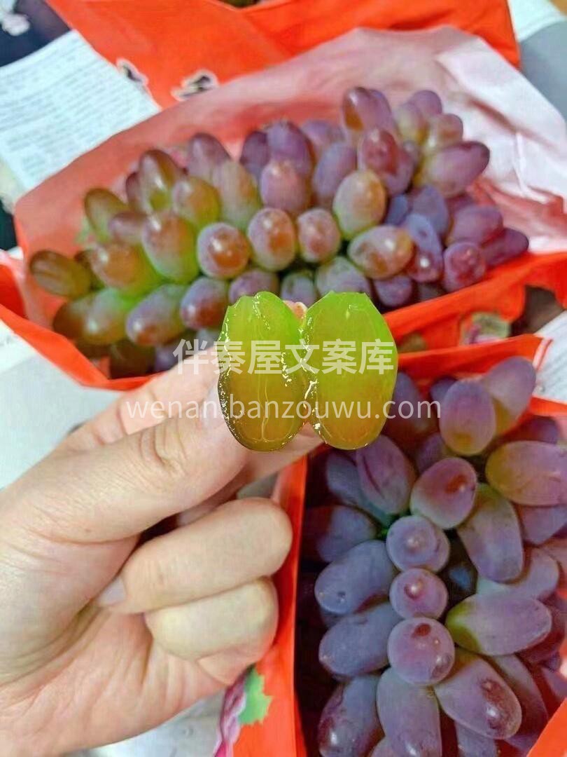 一颗甜到心坎儿♥️、自带茉莉花香气🌷、口 配图2