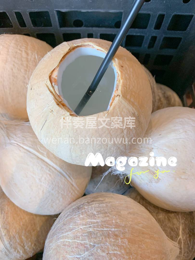 椰皇很完美💫💫 个子小小，水分却超级多😎 配图2