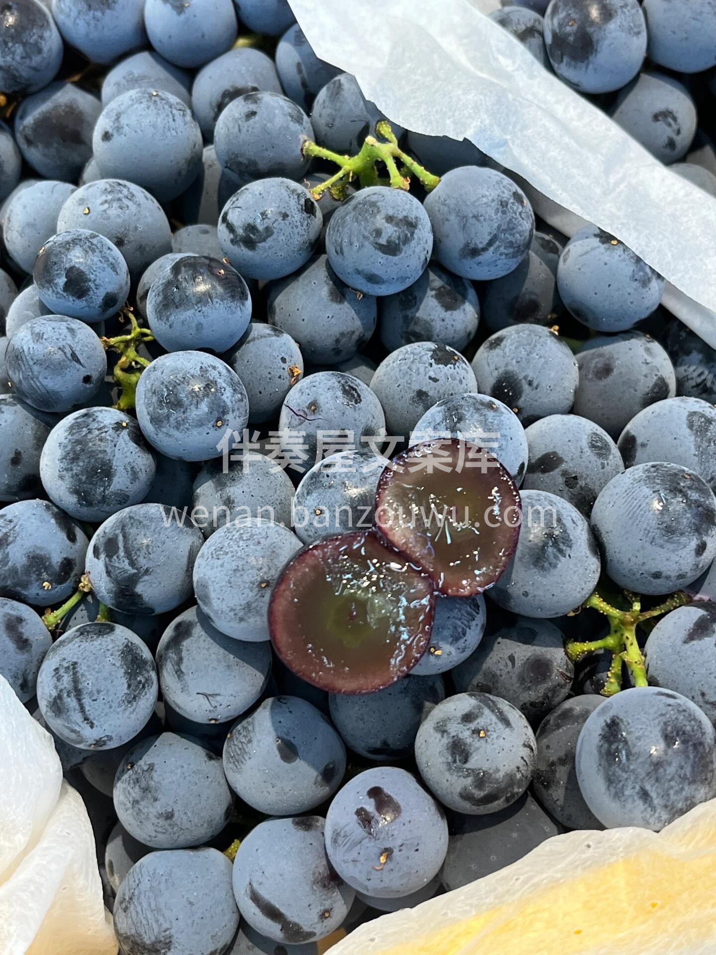 【云南 夏黑葡萄】🍇 葡萄中的极品👏 ， 配图2
