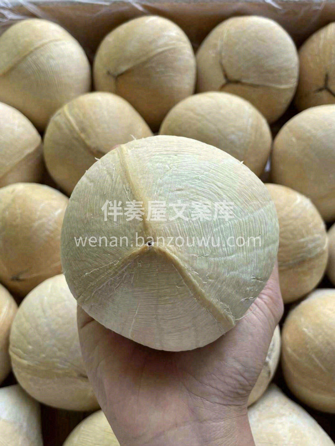 最纯净的"水"，居然带奶香味 ?脆脆嫩嫩 配图2
