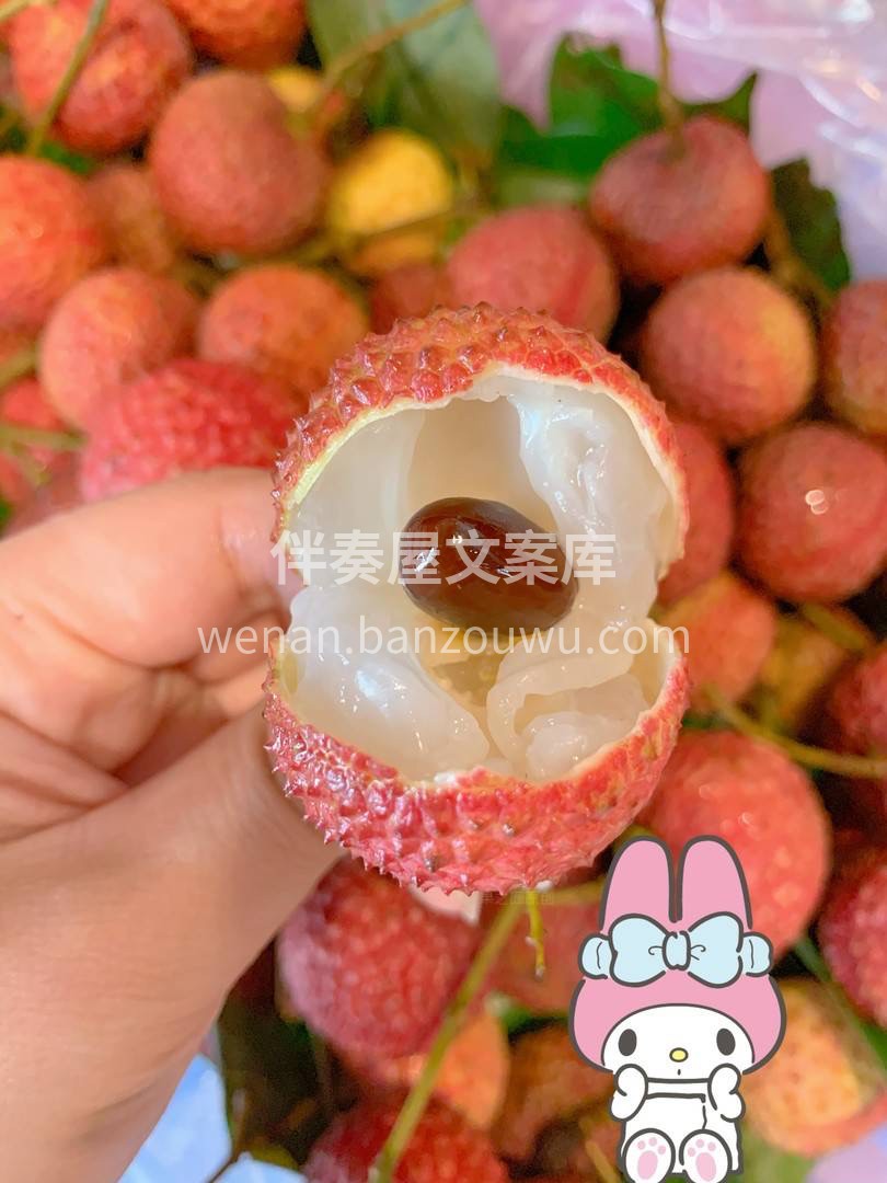 一颗颗红彤彤的鸡嘴荔压着枝头，💐一簇簇的 配图1