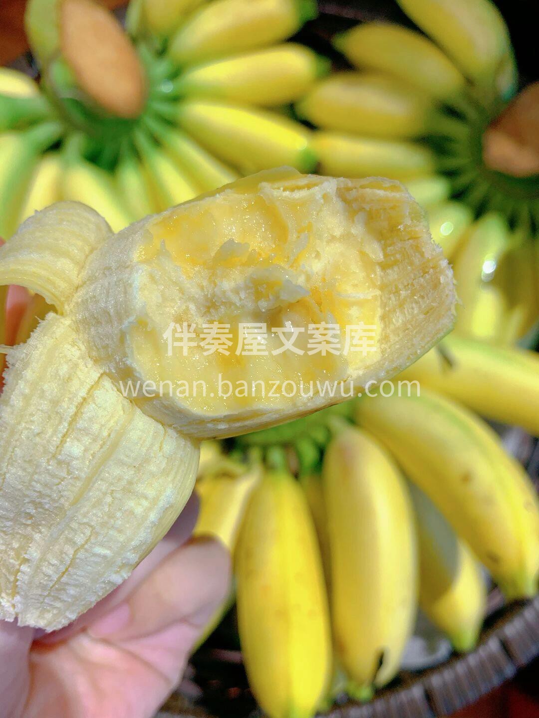 苹果蕉——萌萌哒的小胖蕉🛩️！ 原生态苹 配图1