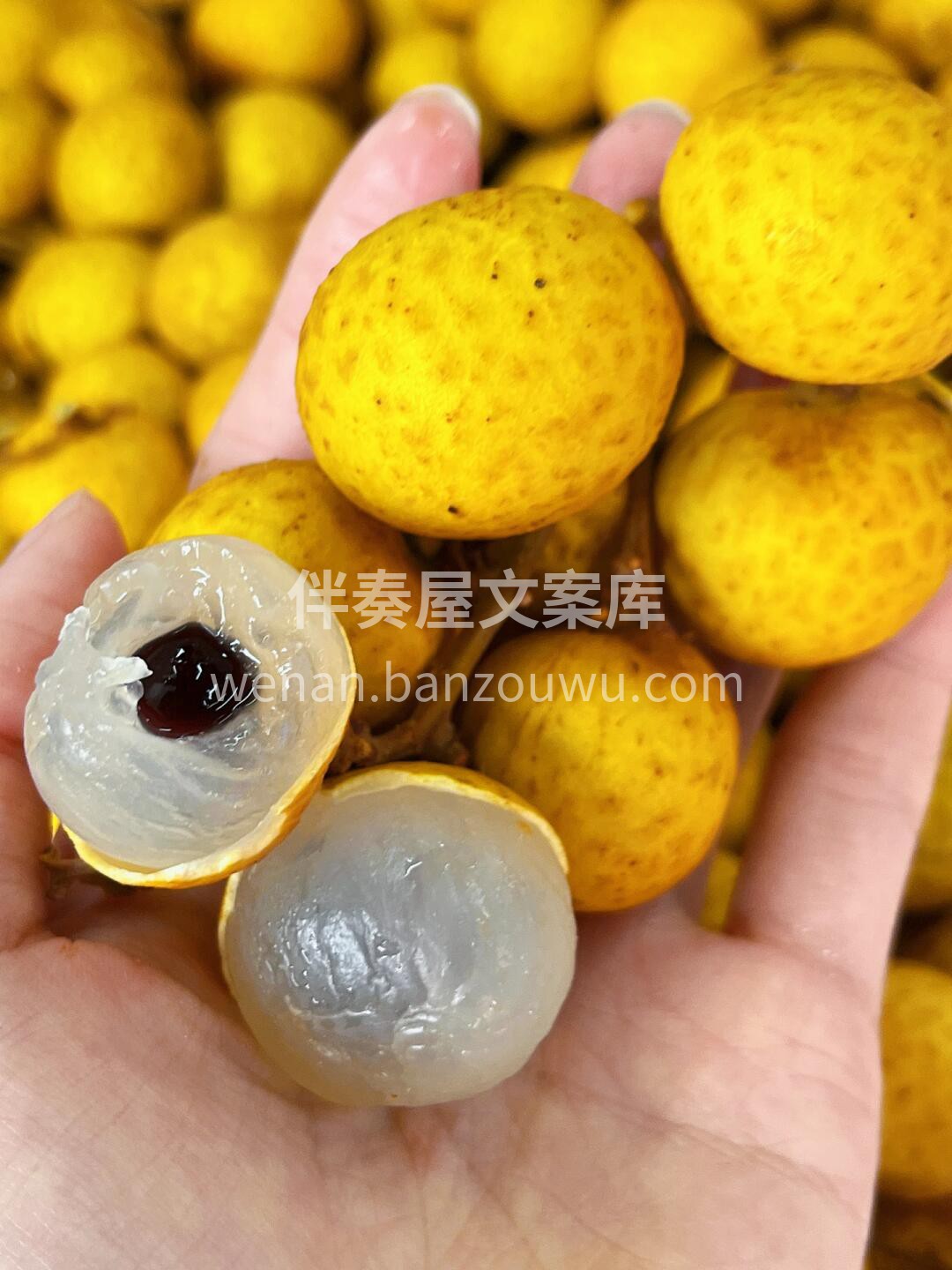 泰国金果源龙眼🔥 既满足了你的胃，又充实 配图3