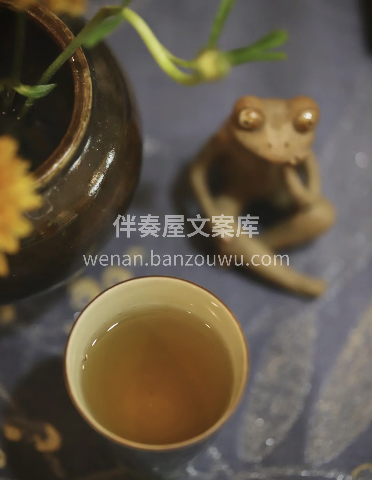 🍵宝子们，好茶驾到😜！🌱优质的茶叶，带着 配图3