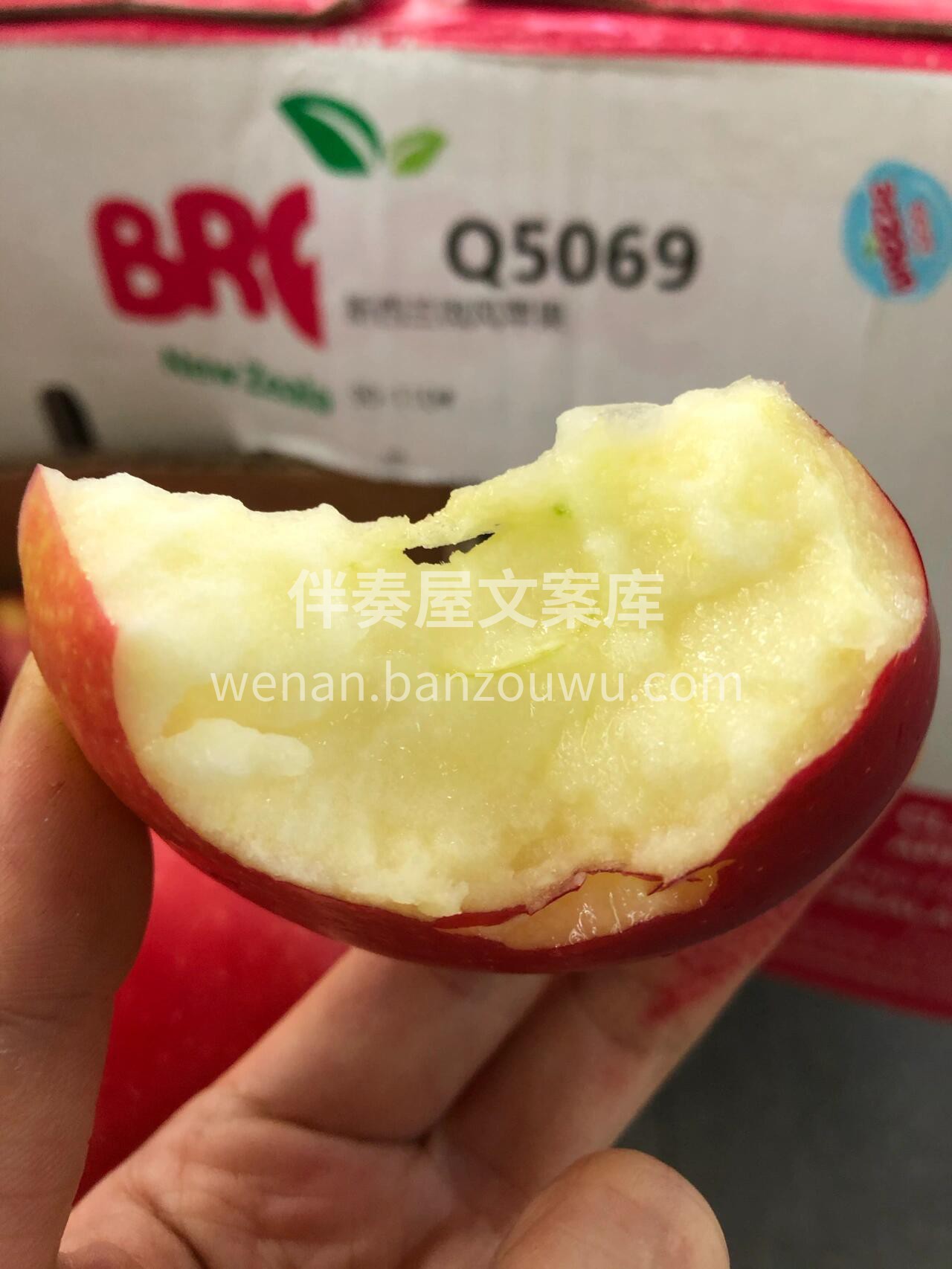 #新西兰微风苹果🍎 新西兰的苹果有魔力😘 配图3